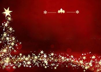 Frohe Weihnachten und ein gutes neues Jahr 2021!