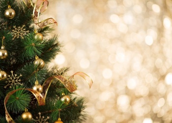 Frohe Weihnachten und ein glückliches Neues Jahr 2019!